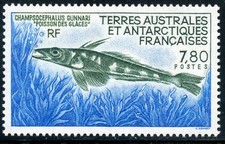 TIMBRE T.A.A.F. / TERRES AUSTRALES NEUF  N° 161 ** FAUNE / LE POISSON DES GLACES