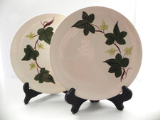BLUE RIDGE SOUTHERN POTTERY Baltic Ivy 2 Luncheon Plates 9 1/2"