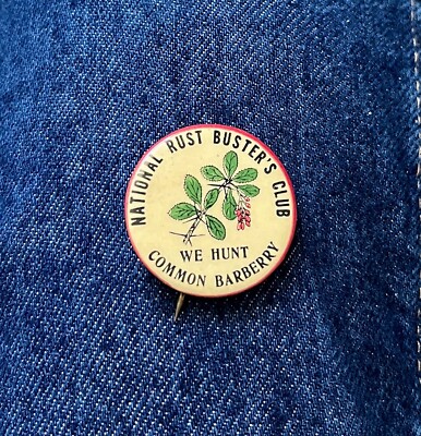1930's National Rust Buster's Club We Hunt Common Barberry Back Tells All 1 1/4''