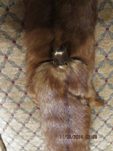 VINTAGE MINK COLLAR--40" X 4"--#R24A-55 - Picture 17 of 24