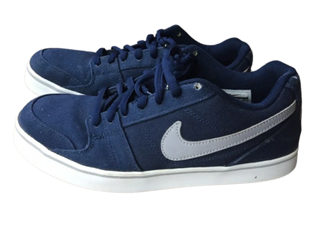Nike canvas shop skate shoes