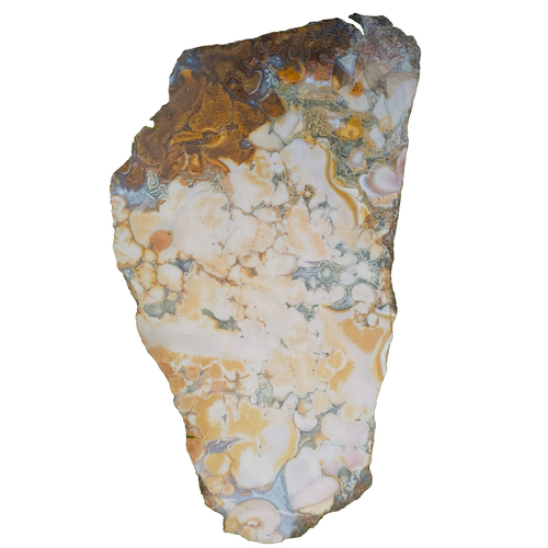 Kobrajaspis versteinerte Fossile Koralle Ozeanjaspis 0,69Kg Korallenjaspis Kobrajaspis versteinerte Fossile Koralle Ozeanjaspis 0,69Kg Korallenjaspis