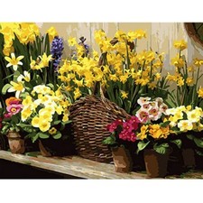 Paint By Numbers Adults kids Yellow Flower shelf DIY Painting Kit 40x50CM Canvas