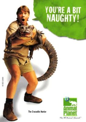 TV SHOW - ANIMAL PLANET CROCODILE HUNTER STEVE ERWIN PROMO 4X6 POSTCARD 