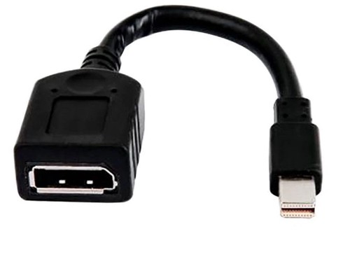 miniDP-to-DP Adapter Cable 17cm - 第 1/2 張圖片