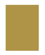 Folia 6365 Coloured Paper Matt Gold DIN A3 130 g/m² 50 Sheets for Crafts and Cre