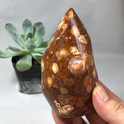 410g TOP MADAGASCAR NATURAL OCEAN JASPER QUARTZ CRYSTAL Freeform The torch g6627