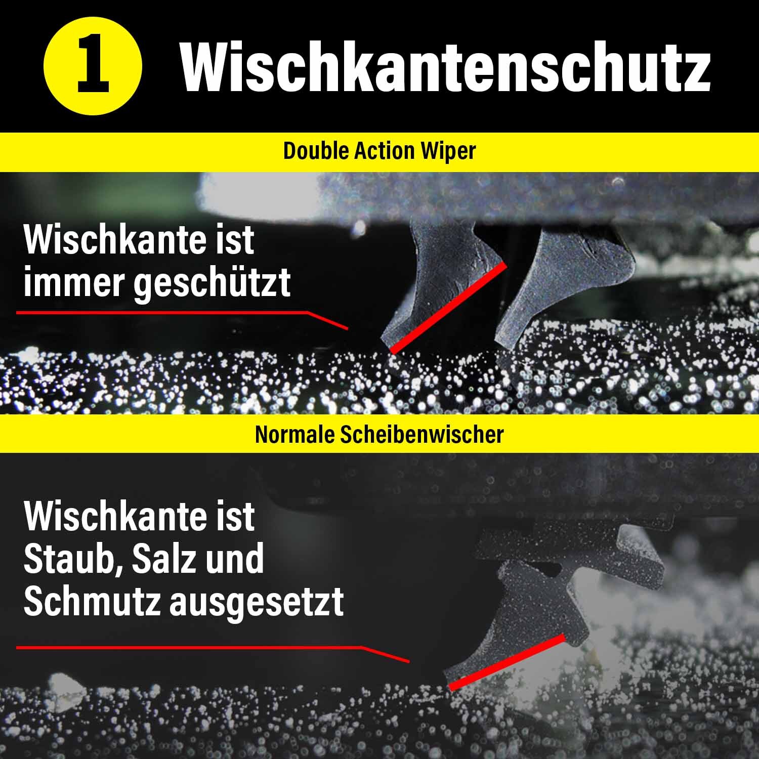 Bild 9 von 11