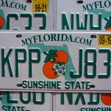 FLORIDA LICENSE PLATE - DOUBLE ORANGES Graphic Good License Plate Tags Random #