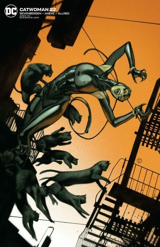 Catwoman #1-56 | Cubiertas selectas | DC Comics | 2019-2023 casi nuevo - Imagen 53 de 115
