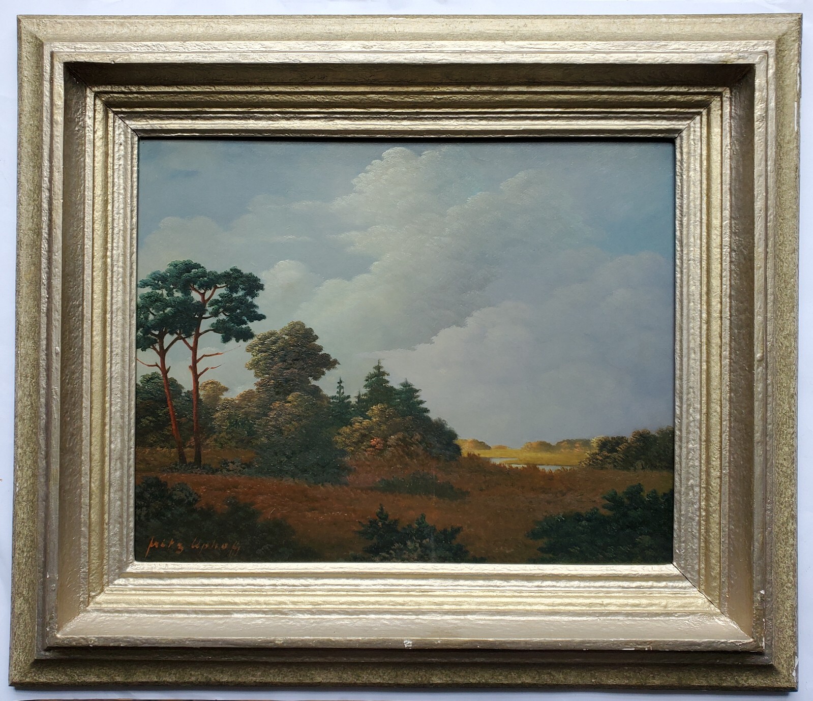 Foto 1 di 15