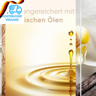 Bild 6 von 12