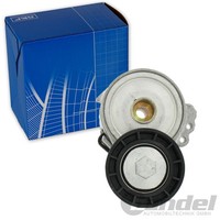 SKF Spannrolle Keilrippenriemen FüR Citroen Berlingo C4 Jumpy Xsara Scudo Ducato