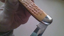 case knife HB61098  honey bone pocketknife new, wrapped in tissue. toothpick