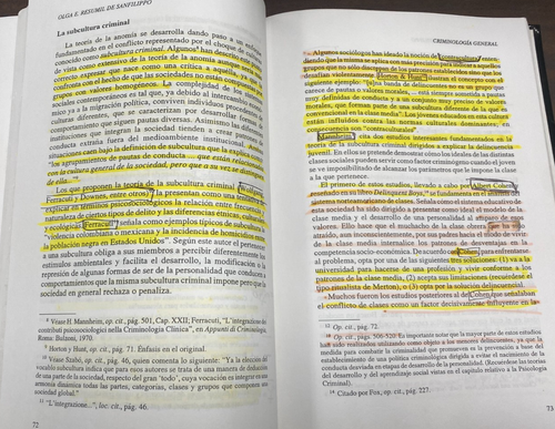 Puerto Rico 2004, CRIMINOLOGIA GENERAL, Olga Elena Resumil, UPR, 309pgs - Picture 8 of 10
