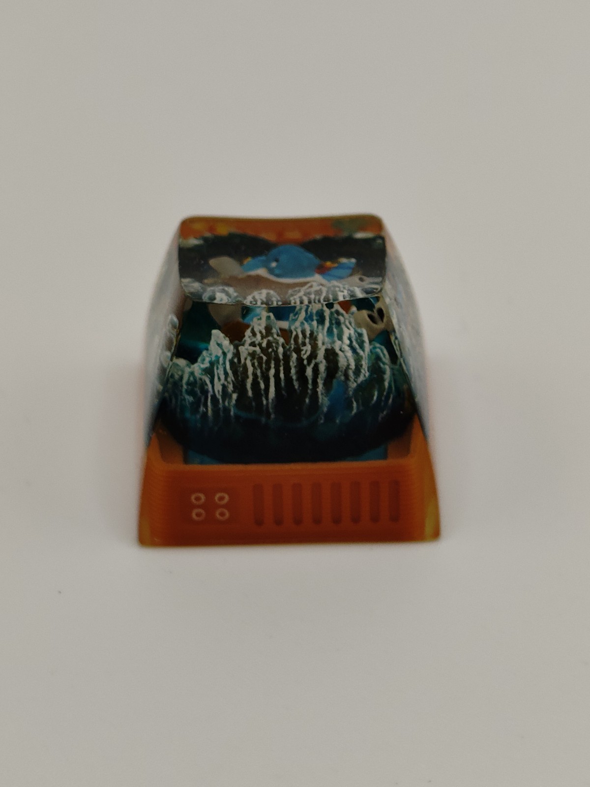 Picture 6 of 14