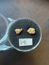 Idaho Gold Nuggets 1.41 grams 4830.97 per troy oz