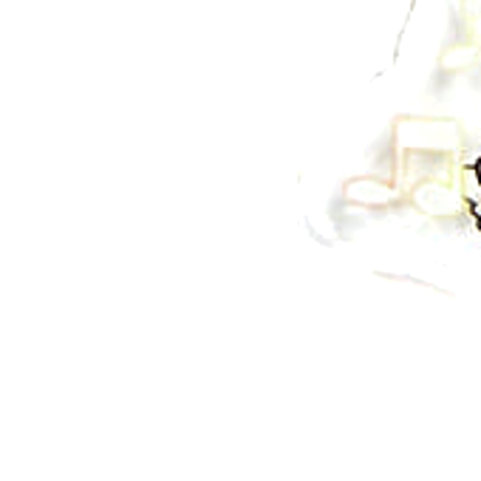 Bild 8 von 10