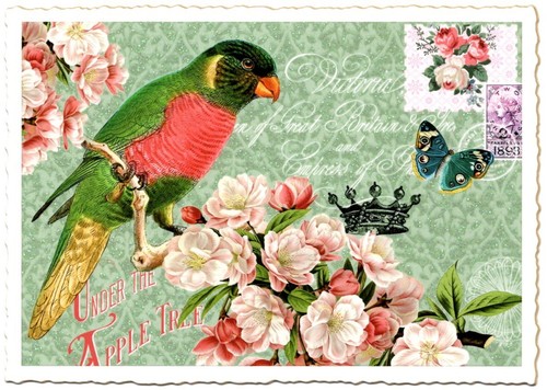 Edition Tausendschön | Postkarte A6 | Flora & Fauna | Motiv wählbar - Bild 61 von 78
