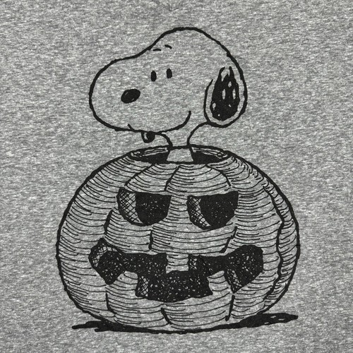 Peanuts Shirt Womens Size 2 Gray V Neck Short Sleeve Snoopy Ladies Casual Plus - Picture 2 of 6