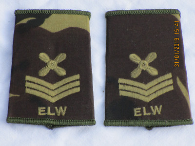 Royal Air Force,Expeditionary Logistics Wing,Chief Technician ,RAF ELW