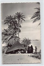 Mauritania - Oasis near Atar - Publ. Librairie Lacroix 3857