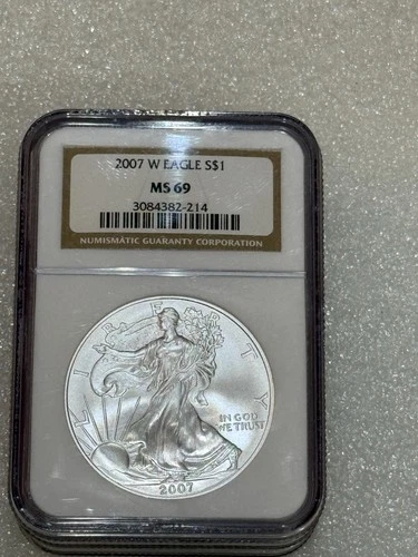 2007 W BURNISHED SILVER EAGLE NGC MS 69 ~~ BROWN LABEL ~~ PRISTINE ~~ NO SPOTS