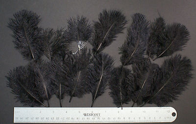 Sebastiani Spey Plumes Ostrich Belly Maribou Craft Art Fly Tying Feathers