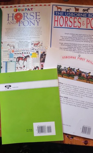 Lot of 4 Kids DK Usborne Horse and Ponies Books Funpax Star Riding PB - Picture 2 of 10