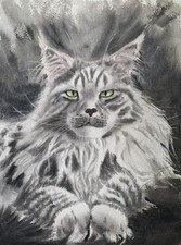 Maine Coon Cat Dark Gray Black original watercolor painting 10.5x7.5 made2 order