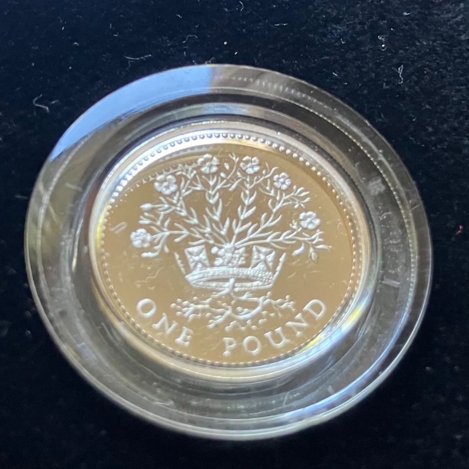 STUNNING PROOF PIEDMONT 1 POUND 1984 1987 COMPLETE COLLECTORS SET - Image 4 of 4