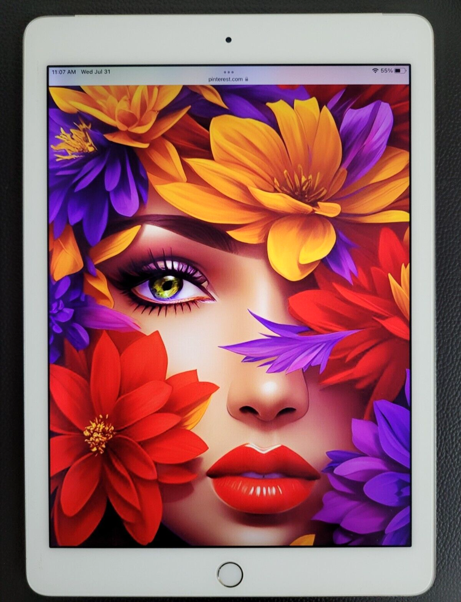 iPad Air2 32GB Wi-Fi+Cellularモデル A1567