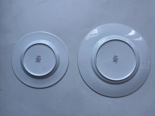Lenox Venezianische Spitze Speiseteller & Mittagessen Teller Platinrand Geschirr Menge 2 - Bild 6 von 7