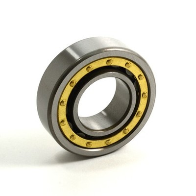 N320E.M1.C3 FAG Cylindrical Roller Bearing Heavy Duty Industrial Replacement