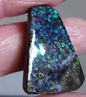 Ammolite  Ammonite   Coated Stone 32x24.8x5.6mm 6305