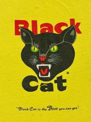 Vintage Y2k Black Cat Firecracker The Best You Can Get T Shirt