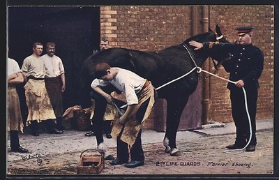 AK 2nd Life Guards, Furrier shoeing, britischer Schmied beschlägt das Pferd ein 