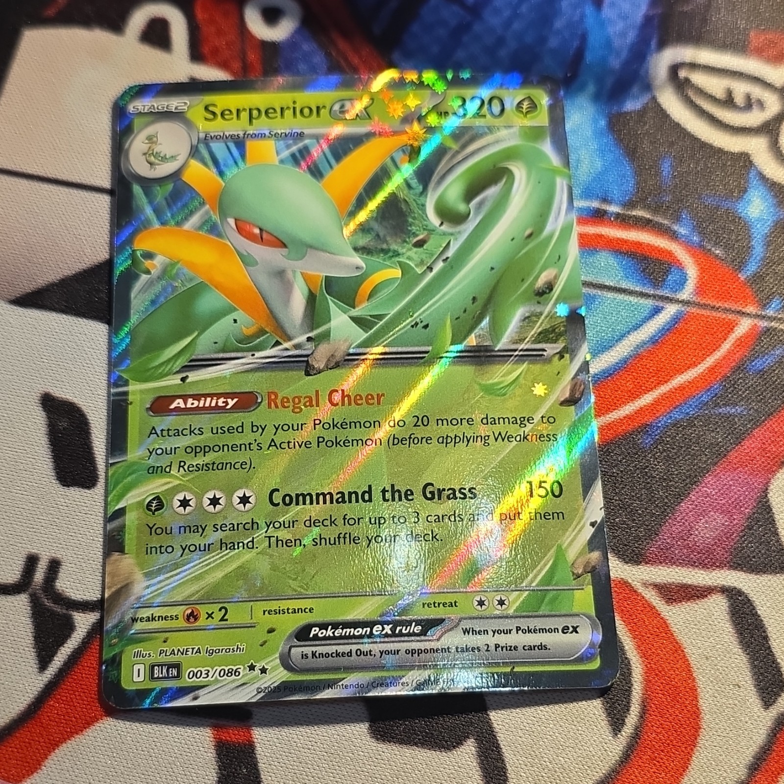 Pokémon TCG Serperior ex 003/086 Sv: Black Bolt Double Rare Holo English