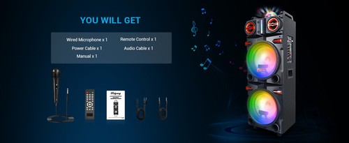 9000W Bluetooth Party Speaker Dual 10" Woofer Deep Bass EQ Remote & Karaoke Mic - Picture 7 of 9