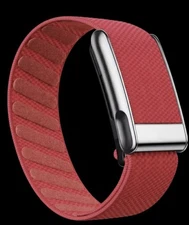 Whoop MG/5.0 Light Red Luxe Band - Shiny Silver Clasp/hook/link - One/peak/life