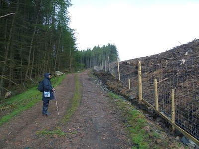 Foto A3 Baumfällung und neue Zäune - Glentarkenholz St Fillans c2011