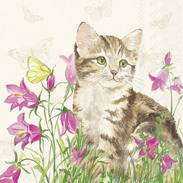 4 x Paper Napkins/33cm/3Ply/Decoupage/Cat/Little Kitten in Campanulas