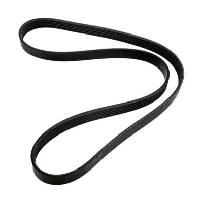 Serpentine Belt For MerCruiser Sterndrive 4.3 5.0 5.7 6.2 6.3 L Engine 865615Q03