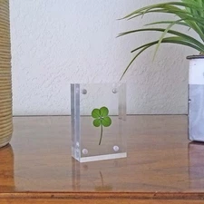 Genuine Four Leaf Clover Suspended in a Acrylic Free Standing Block Frame AF-4F