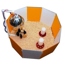 Baby Chick Starter Home Orange  White 3700