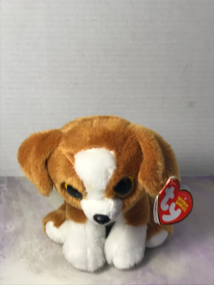 Beagle ty top beanie baby