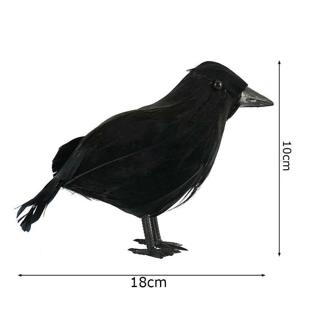 Picture 9 of 9