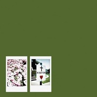 John Moreland - Visi - 1 X 12 Vinyl Album Release Date 31/05/24 This - G3Z