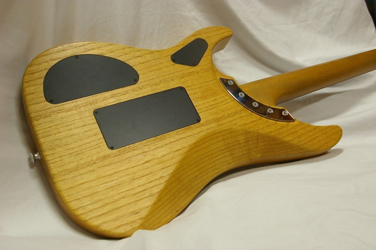 ギター washburn N4E-SANM made in USA Washburn N4E-SANM Nuno Bettencourt Signature Model 1990's Electric