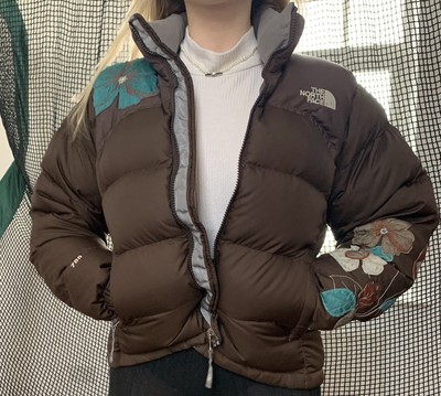 Brown North Face Puffer 700 Ebay